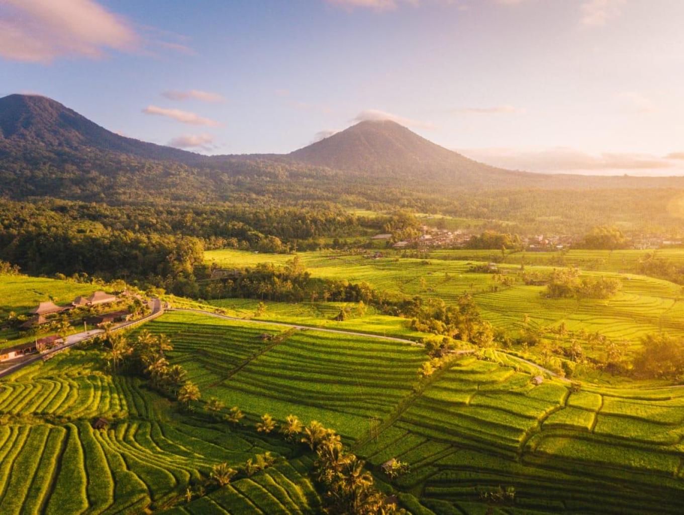 Alam Desa Bangka yang Asri